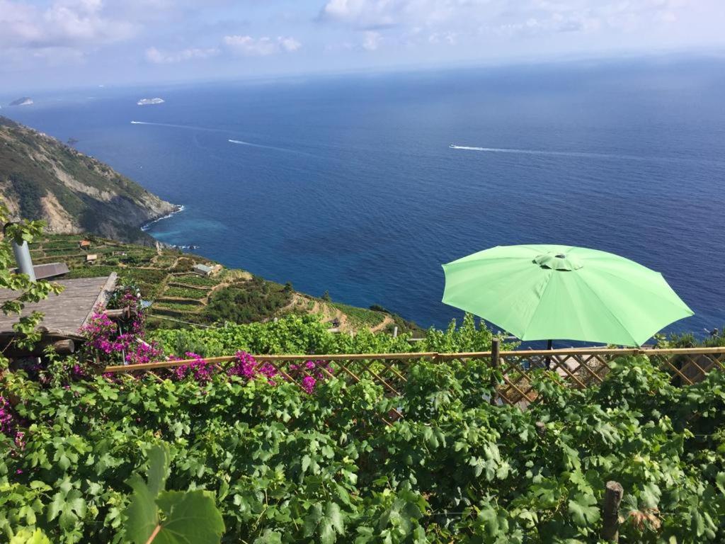 Refuge Uwabio Organic Vineyard Cinqueterre Villa ริโอมัจโจเร ภายนอก รูปภาพ