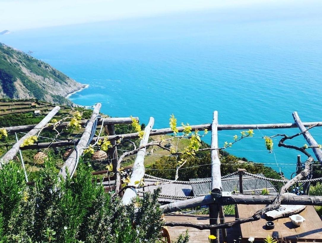 Refuge Uwabio Organic Vineyard Cinqueterre Villa ริโอมัจโจเร ภายนอก รูปภาพ
